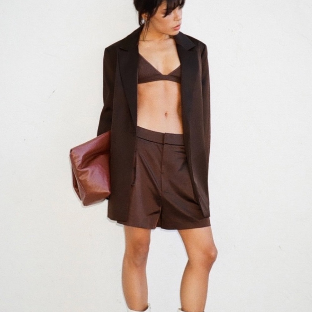 Zara High Waisted Dark Chocolate Brown Pleated Shorts